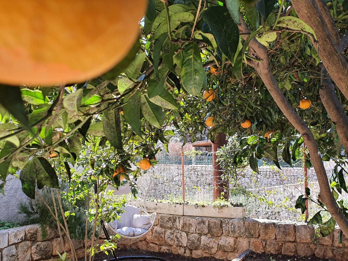 Barbara'S Garden Apartment Dubrovnik Ngoại thất bức ảnh